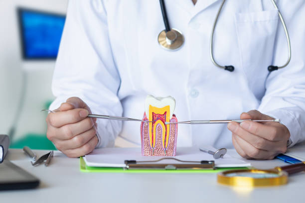 Best Emergency Dental Care for Sports Injuries in West Crossett, AR